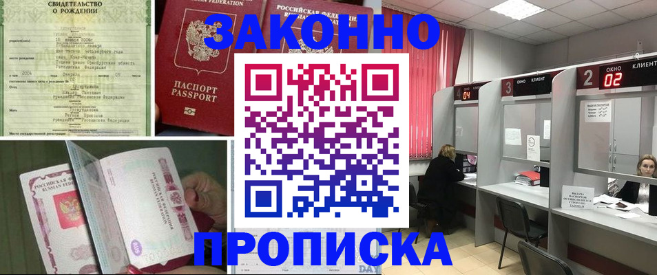 прописка в квартире в Новозыбкове