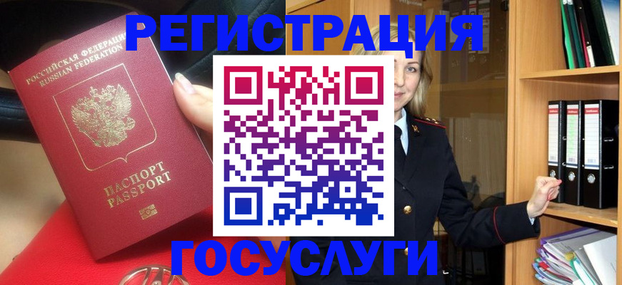 прописка поиск в Новозыбкове